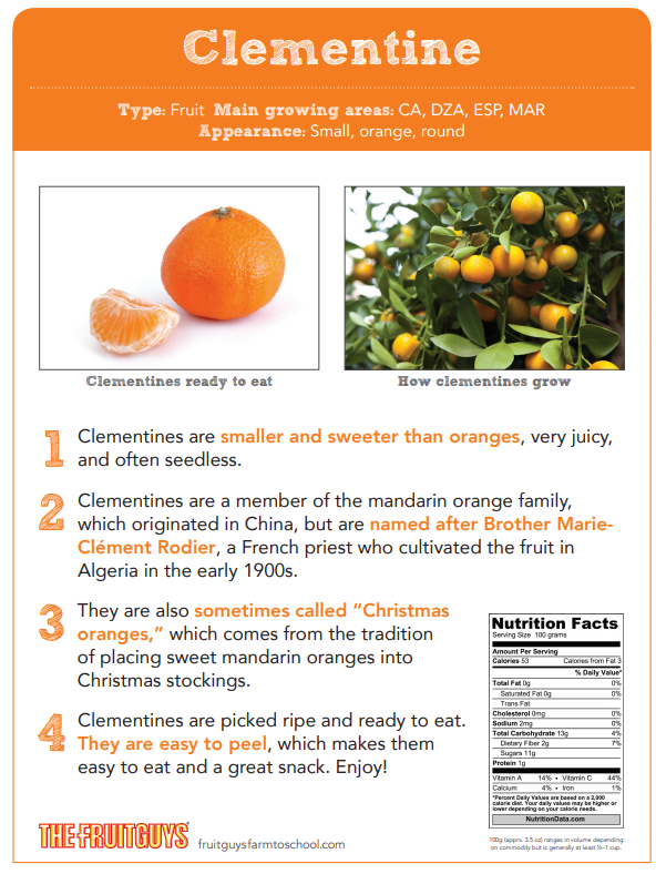 clementine vs mandarin vs tangerine clementine vs mandarin vs tangerine