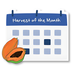 Harvest of the Month calendar and fruit