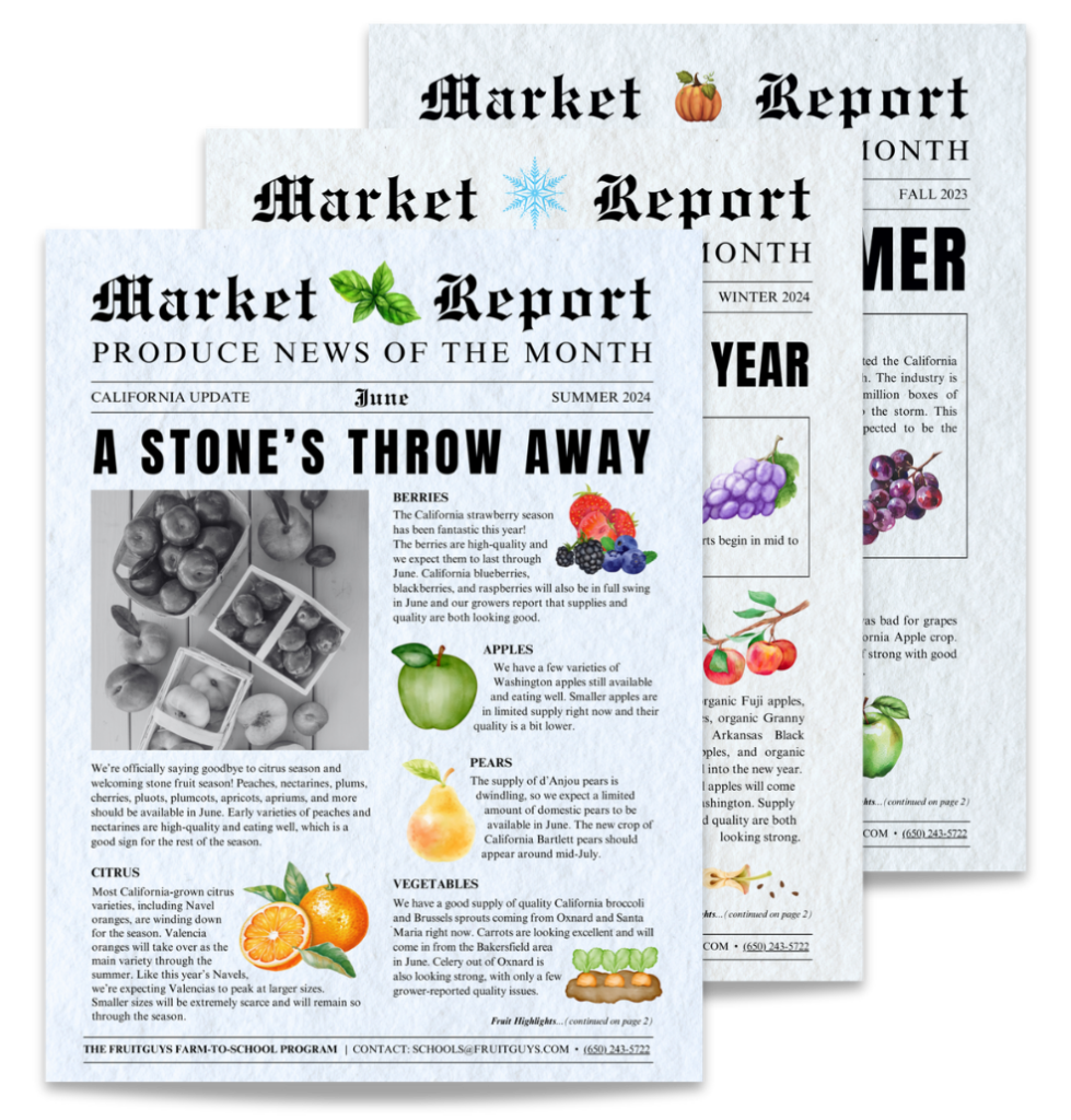 Monthly Market Reports
