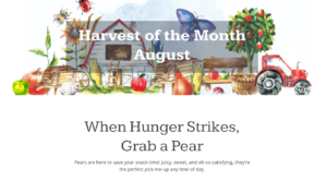 Harvest of the Month - Pears