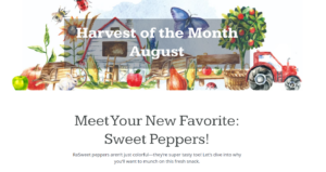 harvest of the month - Peppers