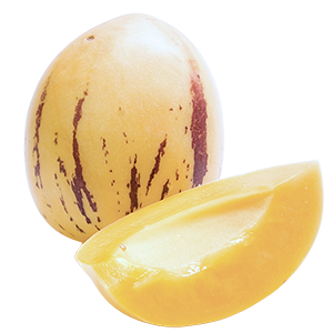 pepino melons