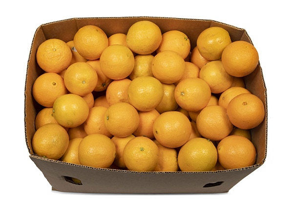 Box of oranges