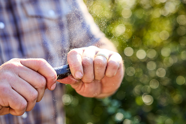 Man cracking finger lime