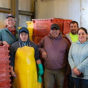 Group of smiling farmworkers surrounded by crates