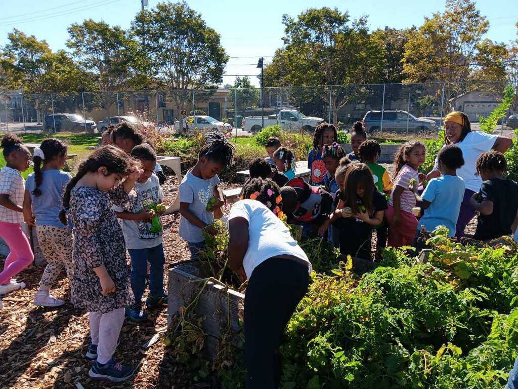 Kids picking vegetables from raised beds