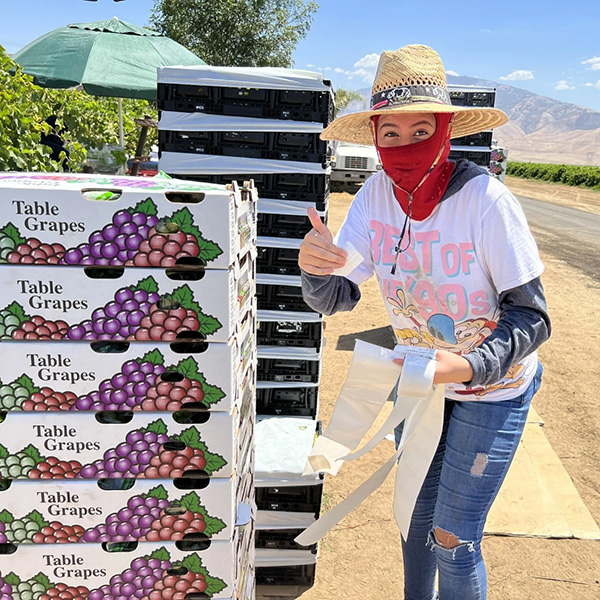 Woman giving thumbs up next to stack of boxes of grapes at edge of vineyard