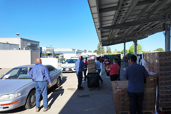 Cars lined up to receive food boxes